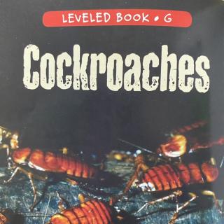 RAZ LevelG 205 - Cockroaches