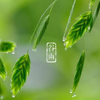 喀纳斯早安心语（谷雨）