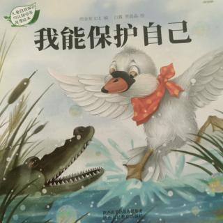 【故事10】韩城办领航幼儿园晚安故事《我能保护自己》