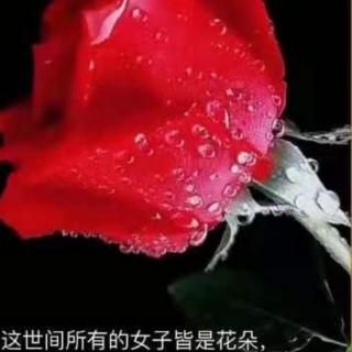 《暗香》～修身