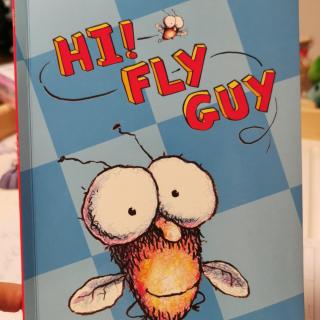 Hi! Fly  Guy