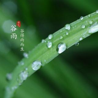 《谷雨过后，新夏就来了》