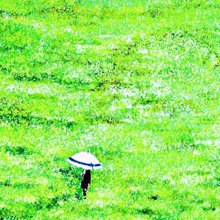 雨雪金克木