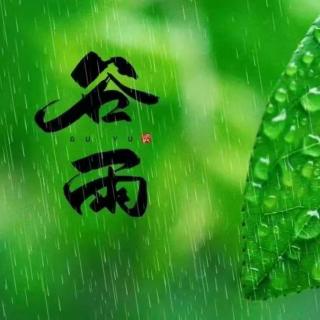 走进谷雨，走向风调雨顺