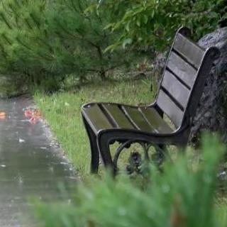 在公园长椅上，下雨的风景听到的凉爽的雨声的声音