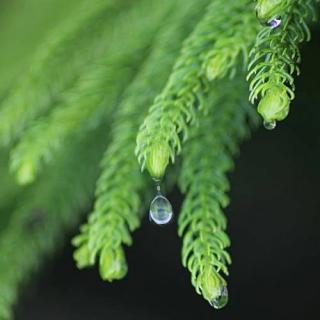 雨夜遐想