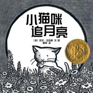 小猫咪追月亮