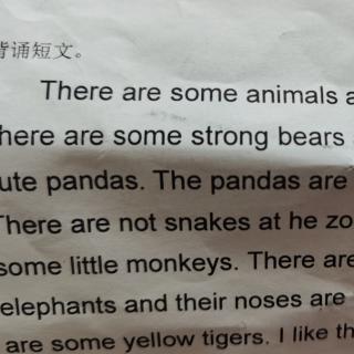 一下  4.21  There are some animals