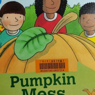 Pumpkin Mess 南瓜团