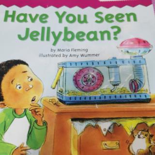 Have  You  Seen  Jellybean?