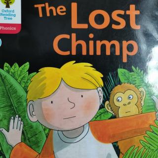 The Lost Chimp 猩猩弄丢了