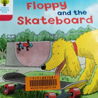Floppy and the Skateboard  滑板车上的狗