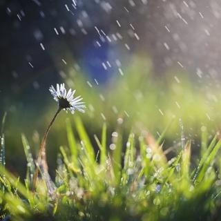 夜阑卧听风吹雨    文/悠然