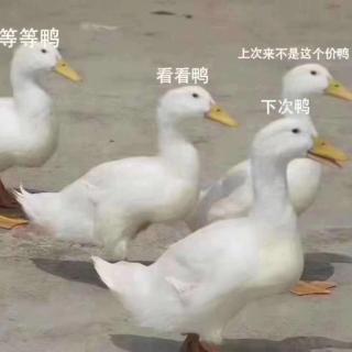 语文阅读