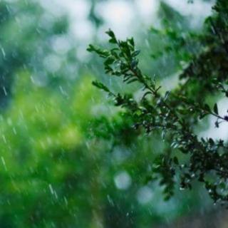 雷雨 (2)