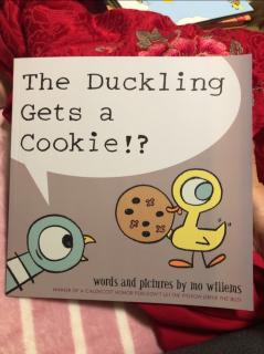 鸽子系列-The Duckling Gets a cookie!?