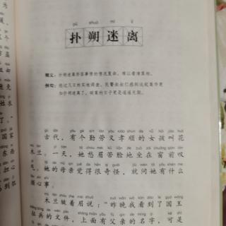 《撲朔迷離》