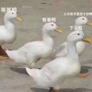 数学阅读