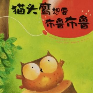 《猫头鹰想要布鲁布鲁》—桃子姐姐