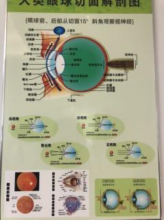 明康罗浮陈总分享专业