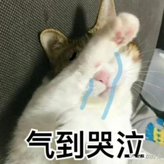 一张画像