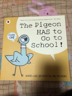 鸽子系列-The pigeon has to go to school