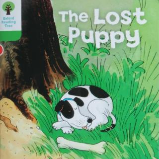 牛津树2-32 The Lost Puppy