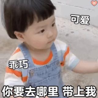 我会听话的