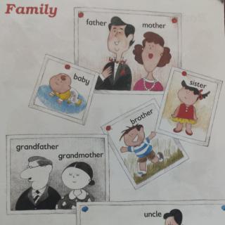 词典 Family