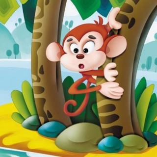 小雅电台丨猴子学艺