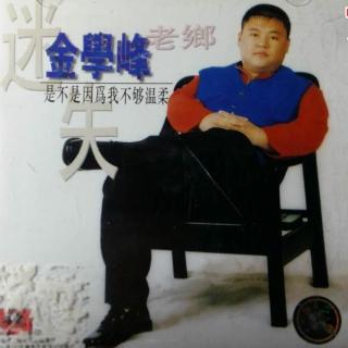 金学峰 是不是因为我不够温柔（1997）九七年广东乐坛最畅销专辑