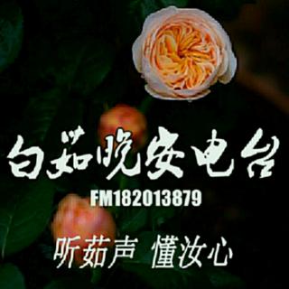 夜听14|我，只是个女人