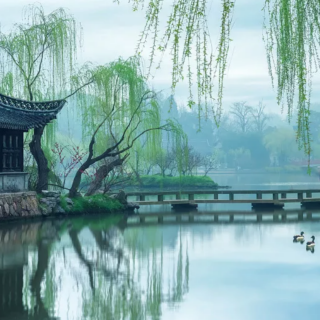 《七律•观景悟道》文 浩洋 诵 雪花飘飘