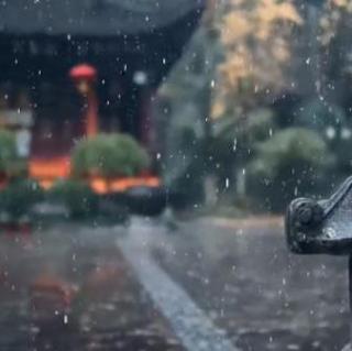 自然治愈 夏末的庭院与雨声~安眠发呆用