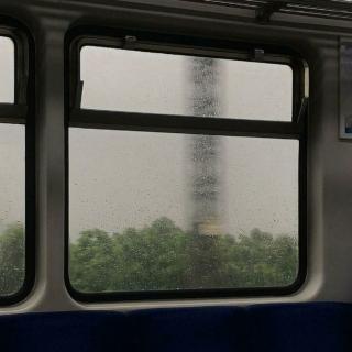 【绵绵春雨】窝在沙发上欣赏院子里的春景｜舒适的春雨氛围