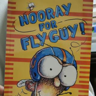 Hooray For Fly Guy!