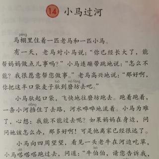 翟庆喆讲《小马过河》