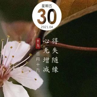 喀纳斯早安心语4.30