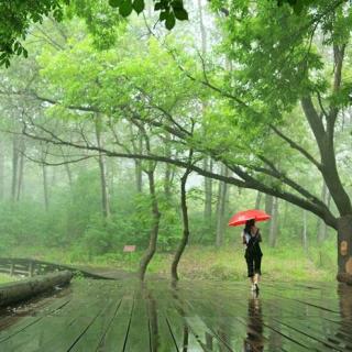 童年的小雨