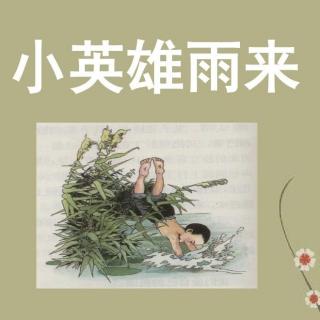 19《小英雄雨来》（节选）其二