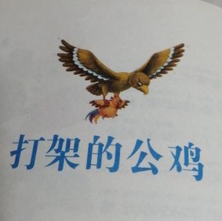 打架的公鸡