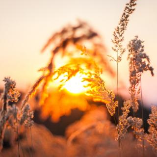 夏天的意义在于好多东西都可以重拾起来了