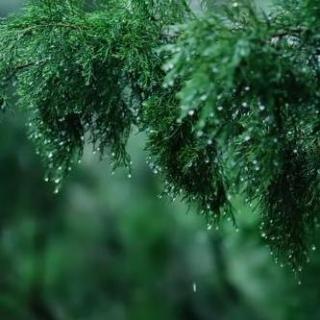 白噪音雨声，暴风雨的声音