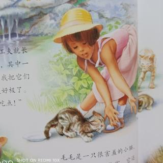 玛蒂娜和流浪猫 1