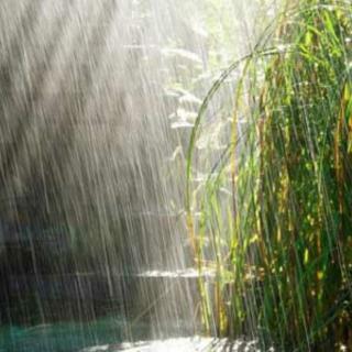 深度催眠曲：大自然的下雨声( 2)