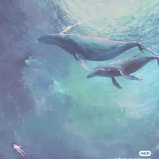 木鲸—灰澈