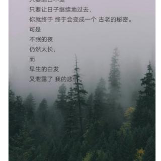 席慕容《晓镜》