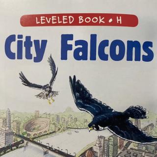 RAZ LevelH 205 - City Falcons