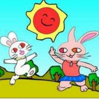 《小兔子🐰找太阳☀️》