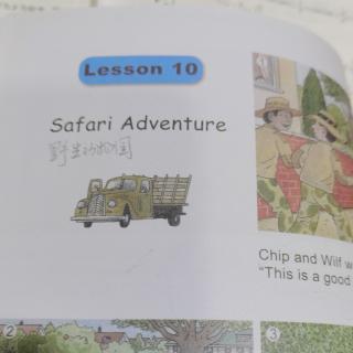 Safari adventure